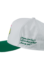 DISASTERS CAP